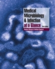 Medical Microbiology and Infection at a Glance